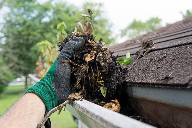 Comprehensive Gutter Care